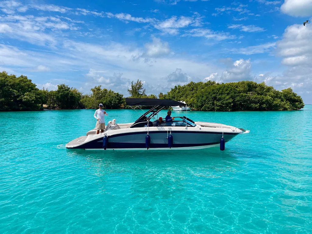 Searay SDX 290 — photo 1