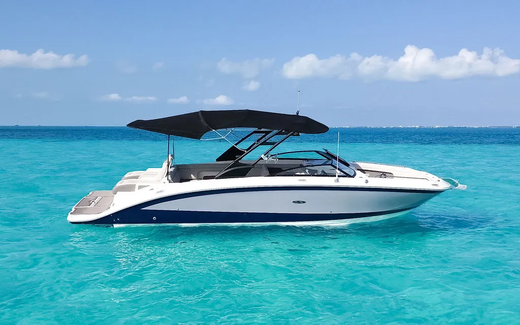Searay SDX 290 photo 2