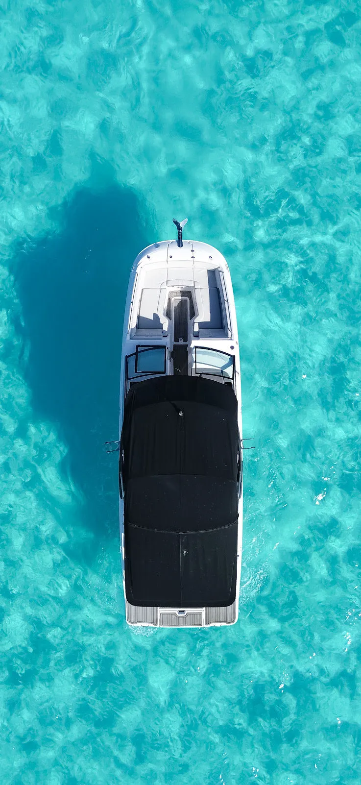 Searay SDX 290 photo 3