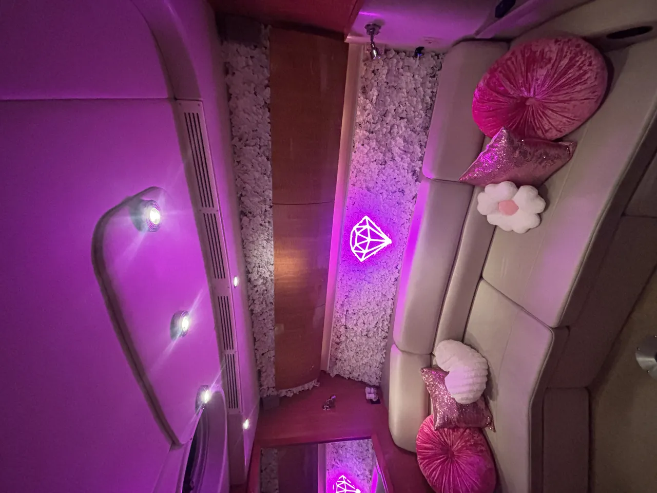 45ft Diamond Pink photo 4