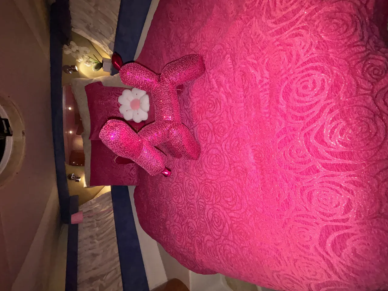 45ft Diamond Pink photo 5