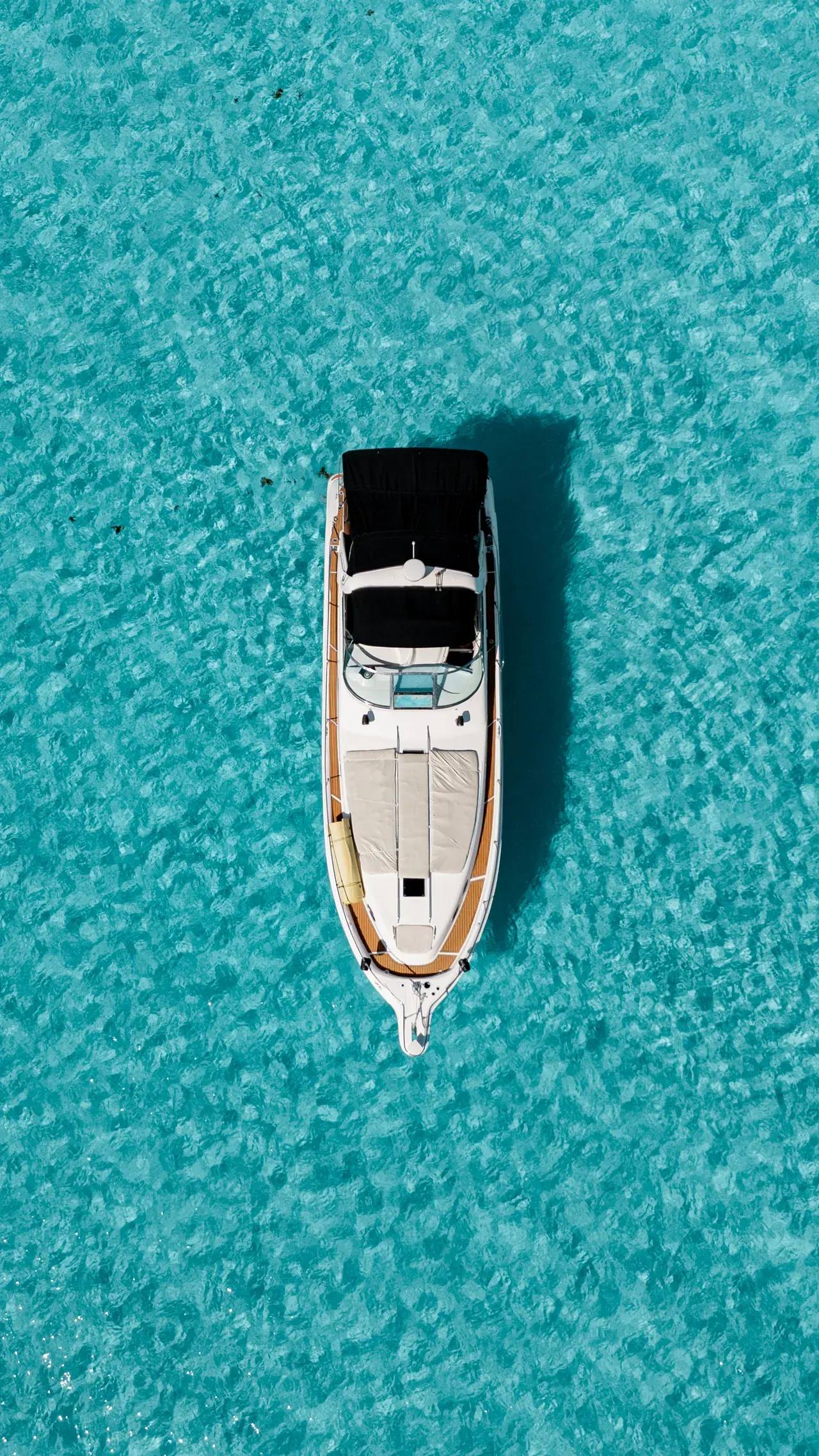 45ft Sea Ray photo 2