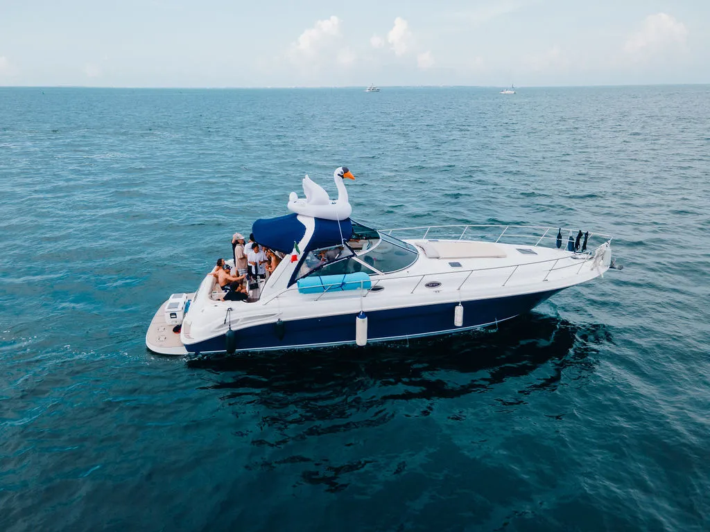 45ft Sea Ray Sundancer photo 5