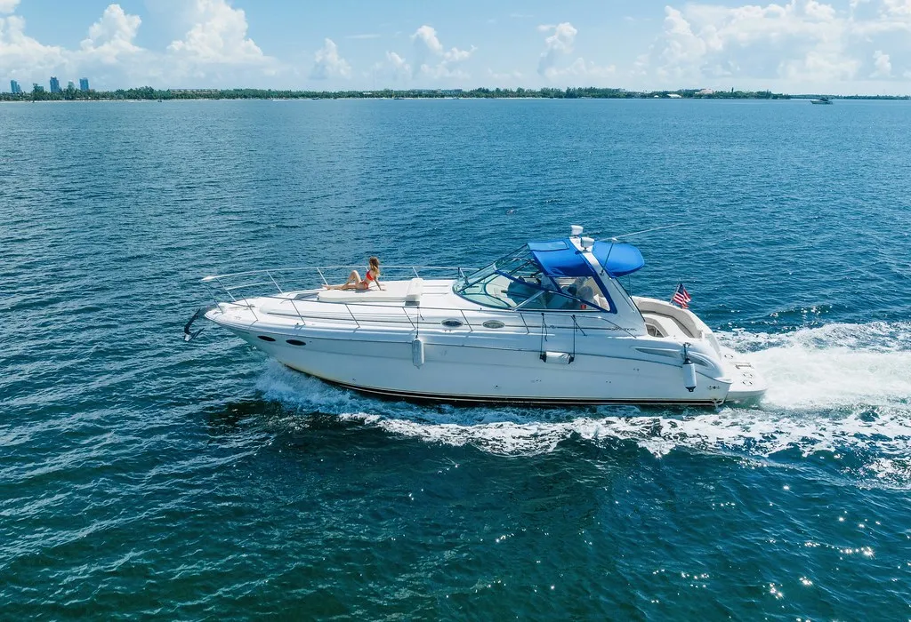 45’ SUNDANCER “BLUE” — photo 1