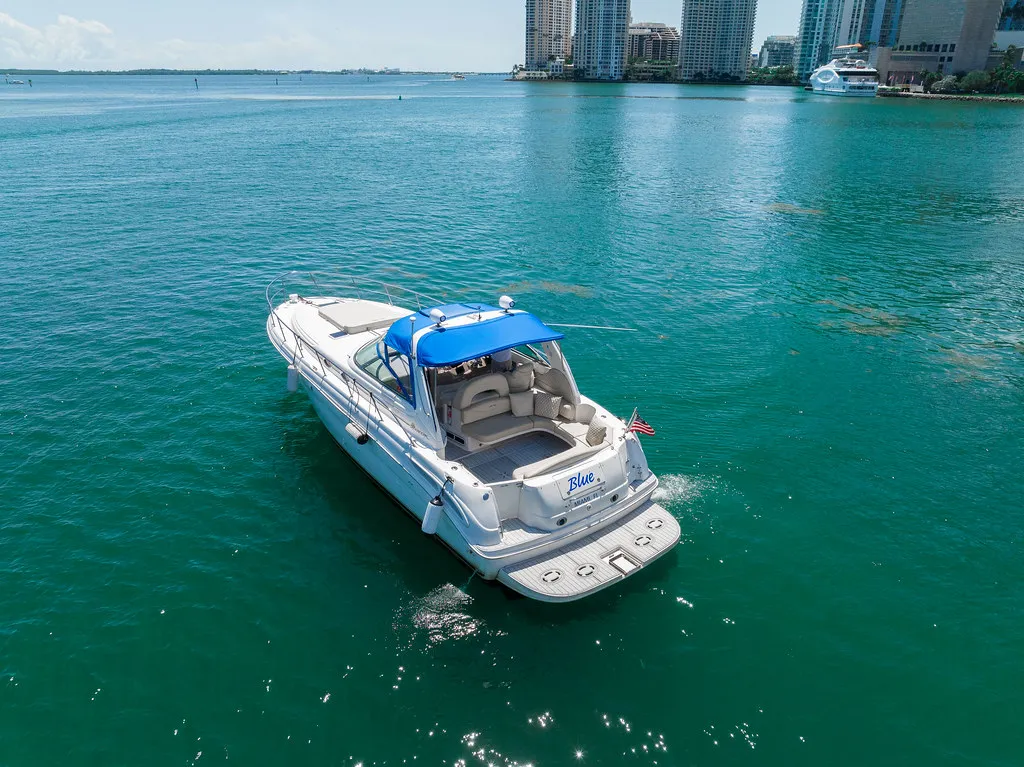 45’ SUNDANCER “BLUE” photo 5