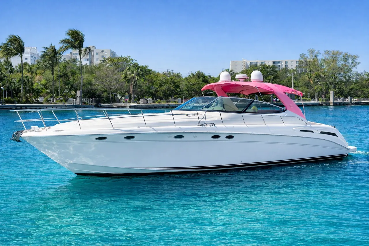 60ft Pink Sea Ray — photo 1